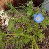 3月24日　歌