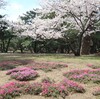 良くも悪くも惰性的な生活が定着
