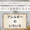 アレルギーの原因とは？繰り返す下痢と腹痛は関係ある？