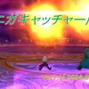 【パニガルム】パニガキャッチャー周回効率調査〔Ver7.1-9月〕