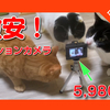 激安！アクションカメラを買って猫を撮ってみた！I bought an action camera and took a Video of a cat.