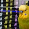 ６月２６日の相場を見てみたよ　チュン