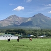 イマドキの北海道旅行