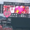 マツダスタジアム！！