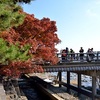 嵐山の紅葉2025：見頃と色づき状況、混雑を避けるコツ！穴場スポットはここ！