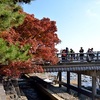 嵐山・渡月橋の秋、紅葉のある光景2017。