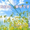 幸せな人生のヒント「道 TAO(タオ)」