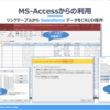 AccessのリンクテーブルからSalesforceのデータにアクセス