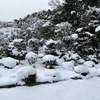 今シーズン初の除雪！