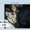 【494話・Leica】Summilux 2本で撮る「名越切通・小坪」