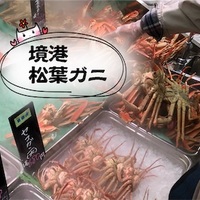 鳥取 境港】スーパーの激安訳あり蟹☆水槽の活松葉ガニ&ボイル紅 鳥取 境港】スーパーの激安訳あり蟹☆水槽の活松葉ガニ&ボイル紅
