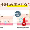 すらり姫　その効果は本当！？使用者の口コミから最安値を調査