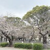 3月のまとめ　（2025-W10〜W13）
