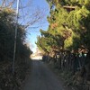 藤崎
