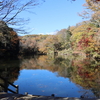 紅葉の秦野・震生湖をハイキング