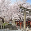 六孫王神社の桜2021。見頃や開花状況【新幹線とコラボ写真あり】。