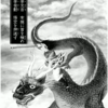 『西遊妖猿伝　大唐篇』諸星大二郎　その５