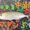 【釣り】夏休みなんで用宗漁港に行ったら数十年ぶりの良いことと、人生初の悪いことが発生した！