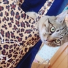 アッシュ、きみは、つくづく思うけど、かわいいね