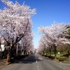 オーストラリアの「日本」