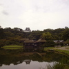 近江旅行３日目　曇り時々雨　彦根・近江八幡