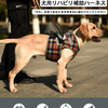 犬 介護 ハーネス