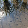 こんなに気温が高くなるのはちょっと早くない？と不満しかなかった月曜日