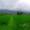 大北地方大雨警報‥の後。