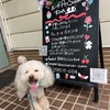トリミング
