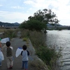 河川敷のタチヤナギ