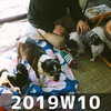 2019W10 週報
