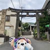 #白山神社#紫陽花