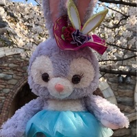 ディズニーランド 17ディズニーイースターおすすめお土産 限定品 いたずら大好き うさたま を追いかけちゃおう ミスバニーのうさぎグッズも超可愛い ひなママさんのどっちにすすむ ディズニーランド 17ディズニーイースターおすすめお土産 限定品 いたずら大好き うさたま を追いかけちゃおう ミスバニーのうさぎグッズも超可愛い ひなママさんのどっちにすすむ
