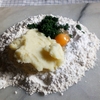 季節の野草ニョッキの日記