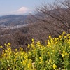 春近し富士にささやく光る海