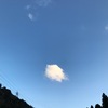 突然にやって来た晩秋