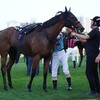 【一口馬主／ラキエータ】北の大地を離れ、しがらきへ