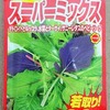 「サラダミックス」を半水耕栽培しています。ベビーリーフとしてサラダにして食べましょう