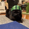 何でだろう？がいっぱい！