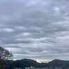 今日は1日ほぼ家に