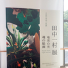 『田中一村展』を見て