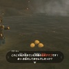 『ゼルダの伝説 ティアーズ オブ ザ キングダム』初見プレイ日記#18 温泉に行こう