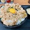 遅い昼ご飯を津田沼のスタ丼で、御飯1.6倍を食べてみた。
