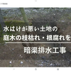 癌も水捌けの悪さで起きる