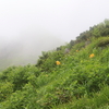 つづら折りの笠新道を登る～笠ヶ岳山行②