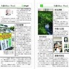 新潟日報、週刊電子新聞「echigo!」創刊　月525円、共同通信のシステム利用