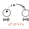 【意外とすごいコーチング技術】相手に気づきを与え「会話価値」を高めるオートクライン