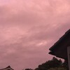 台風明け・桃柿夕空とミューズ秋桜　そして白膠木