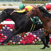 競馬初心者必見☆馬券予想🔥〜阪急杯〜大得意の舞台に刺客を送り込む！？
