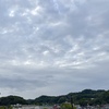 人間には人間の数だけ事情があって